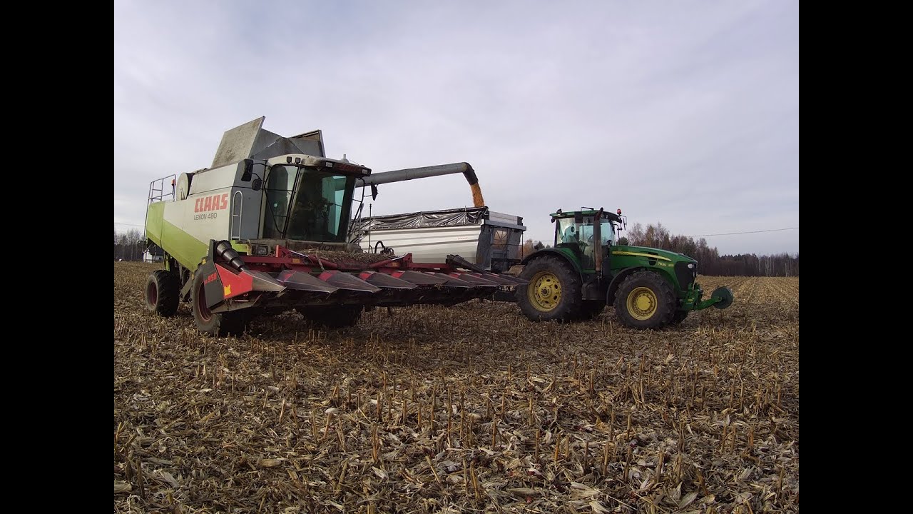 KUKURYDZA NA ZIARNO 2025 /GR KRAMARCZYK/CLAAS LEXION 480/DOMINONI/2 X JOHN DEERE/2 X PRONAR/WIELTON