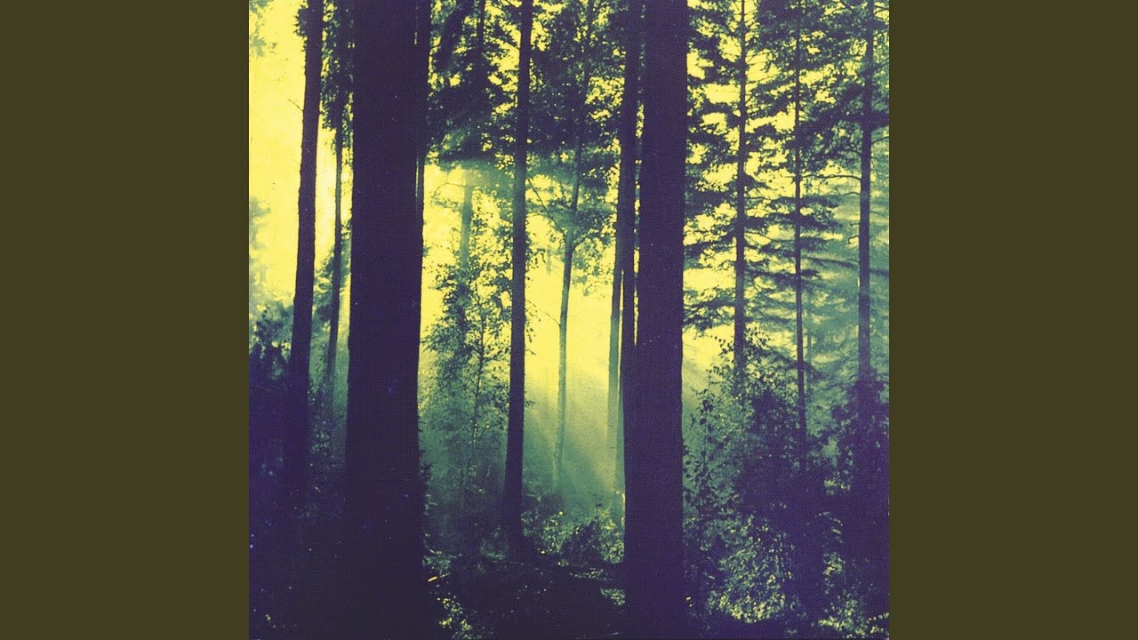 Like a Funereal Veil of Melancholy