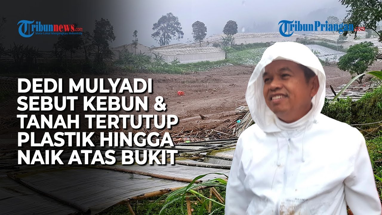 🔴LIVE - Dedi Mulyadi Soroti Kebun dan Tanah yang Tertutupi Plastik di Lokasi Longsor Cisarua