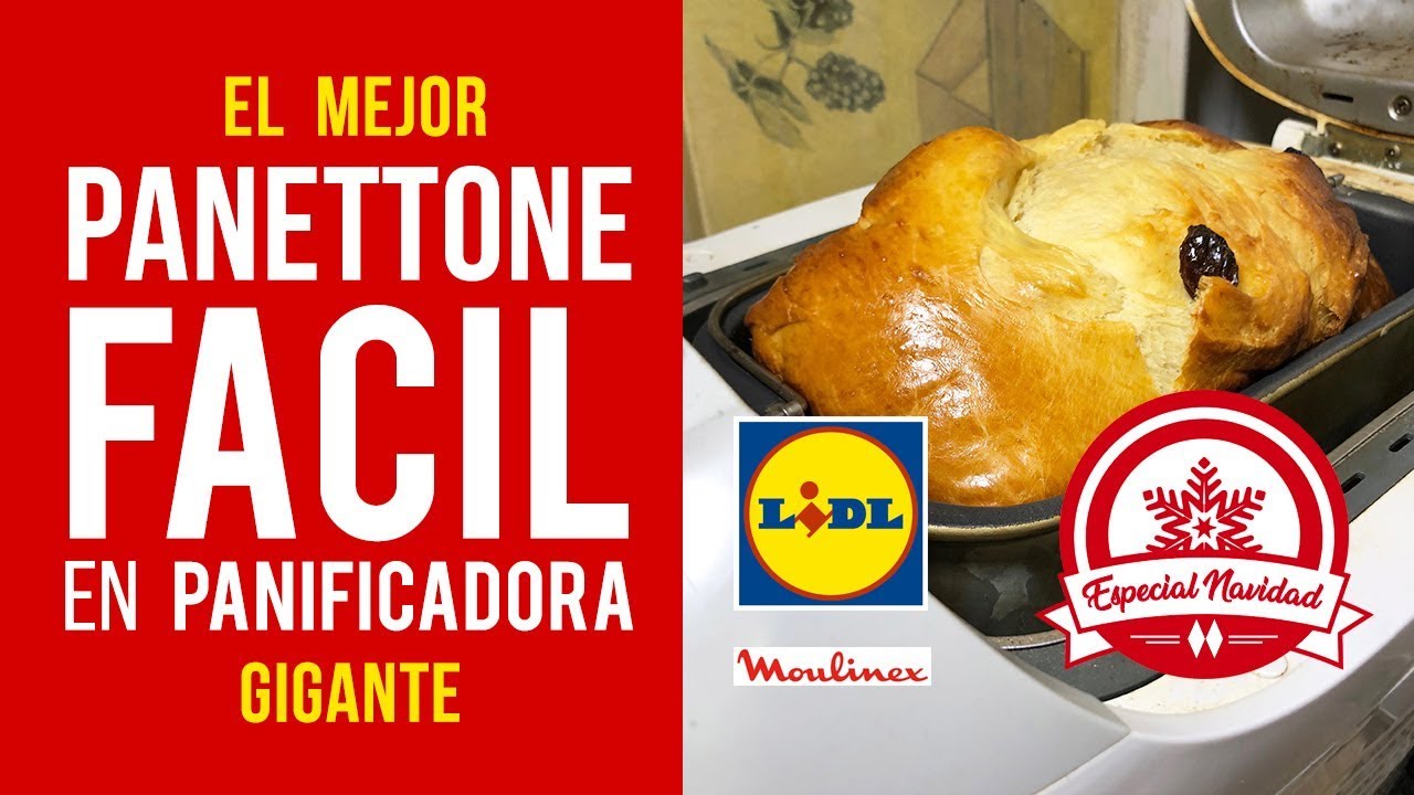 Panettone de Navidad Fácil en Panificadora Moulinex Lidl [RECETA AUTÉNTICA]