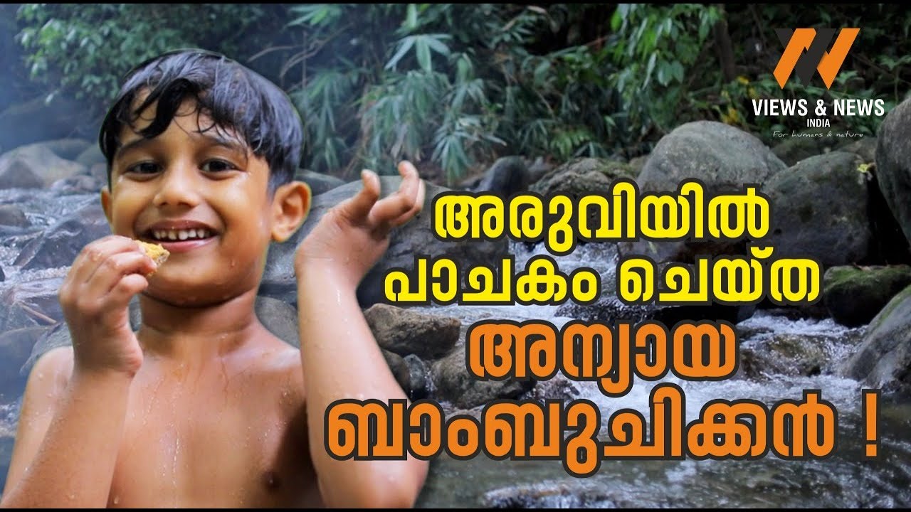 Yummy Bamboo chicken | അരുവിയിൽ പാചകം ചെയ്ത അന്യായ ബാംബു ചിക്കൻ!!!
