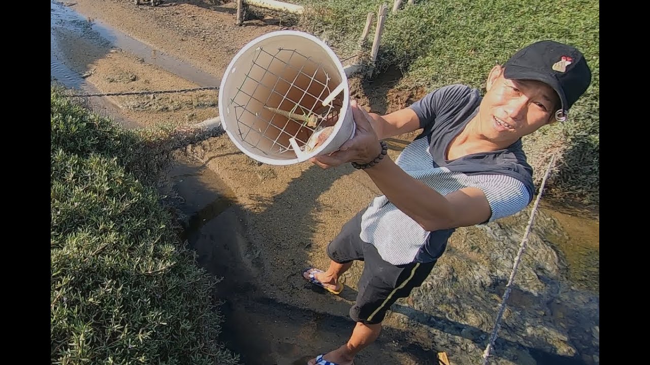 阿壮自制一批“捕蟹神器”，放在防空洞口，倒出来都是大货