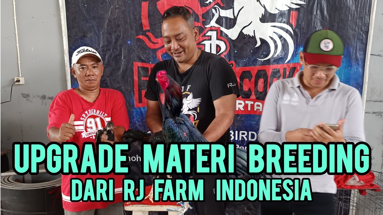 Upgrade Materi Breeding F1 dari RJ Farm Indonesia
