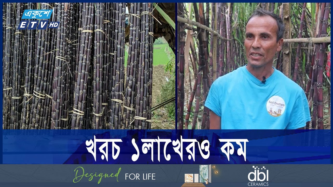 ফিলিপাইনি আখ চাষ বিঘায় আয় তিন লাখ, নেই ঝুঁকি | ETV NEWS | Ekushey TV
