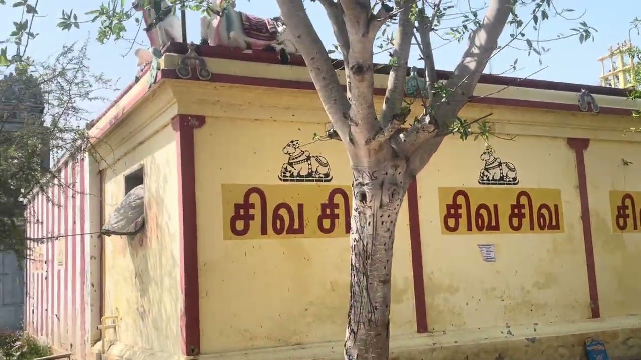 Praying to Sri Kasi Vishwanathar #prayer#Special Intentions #