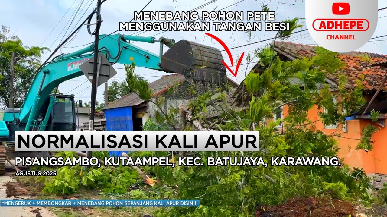 BABAD POHON PETE | NORMALISASI KALI APUR BATUJAYA - KARAWANG 2025 