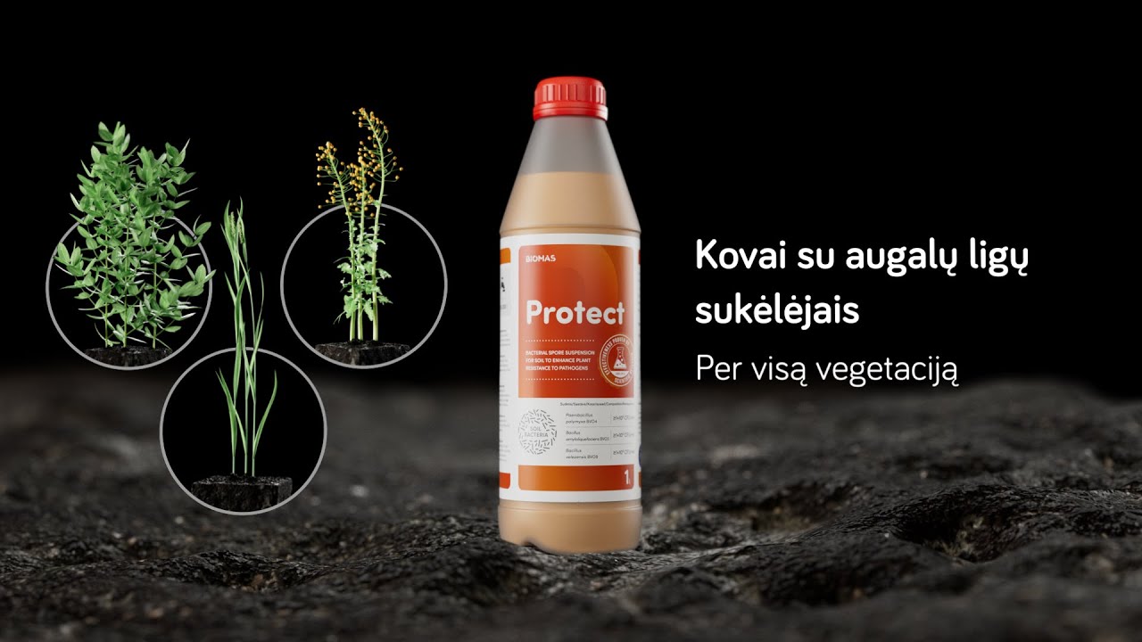 Biomas PROTECT dirvožemio bakterijų veikimas // Bioversio