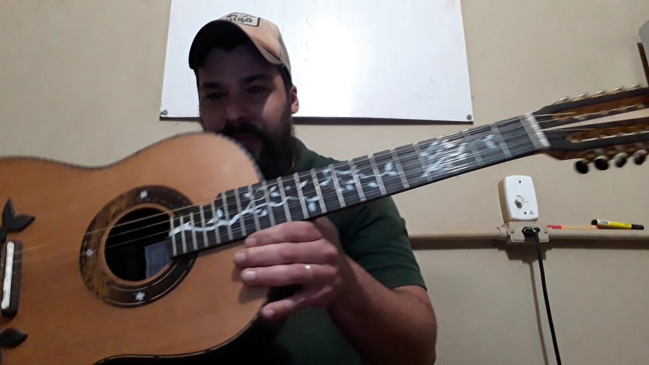 Viola Imbuia Rafael C Teixeira Luthier