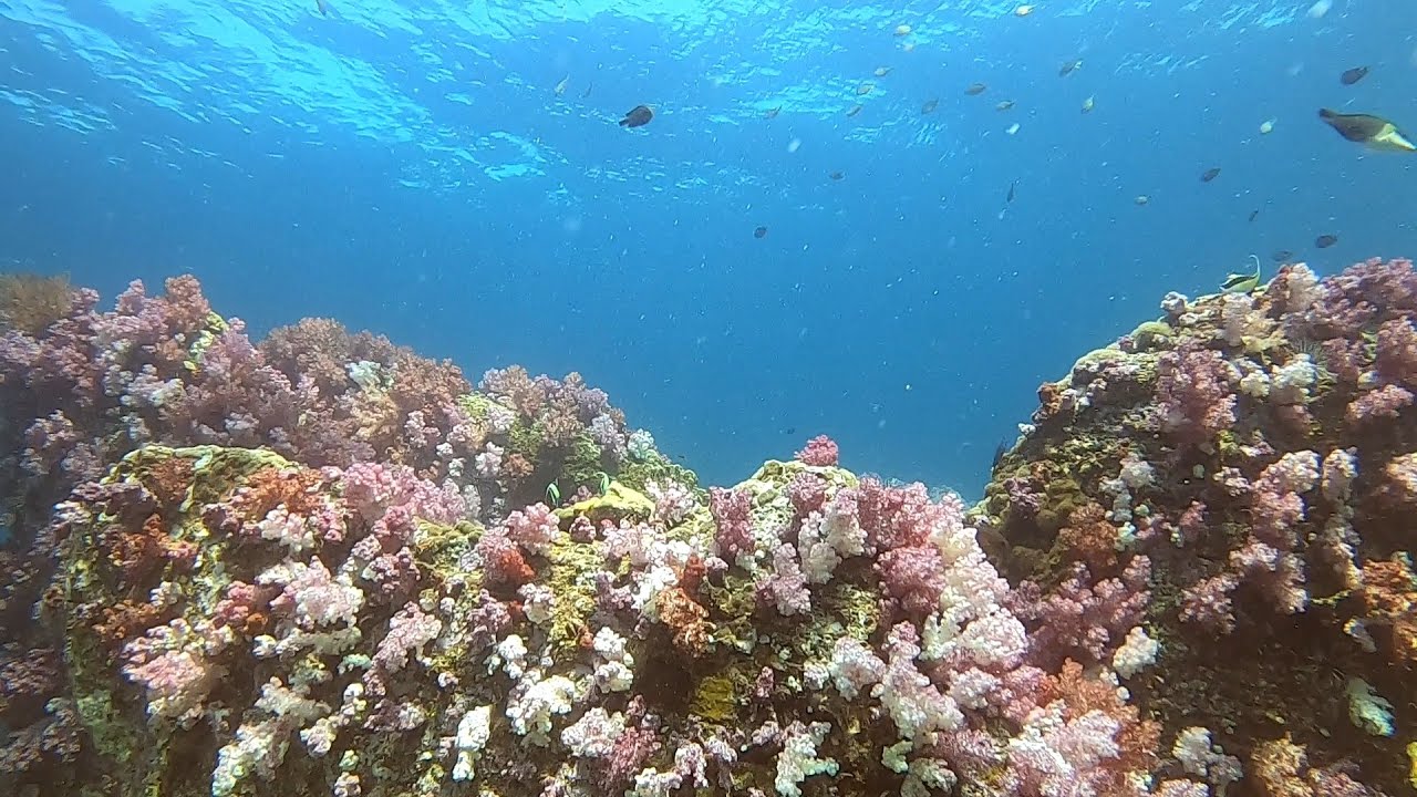 South Andaman in January