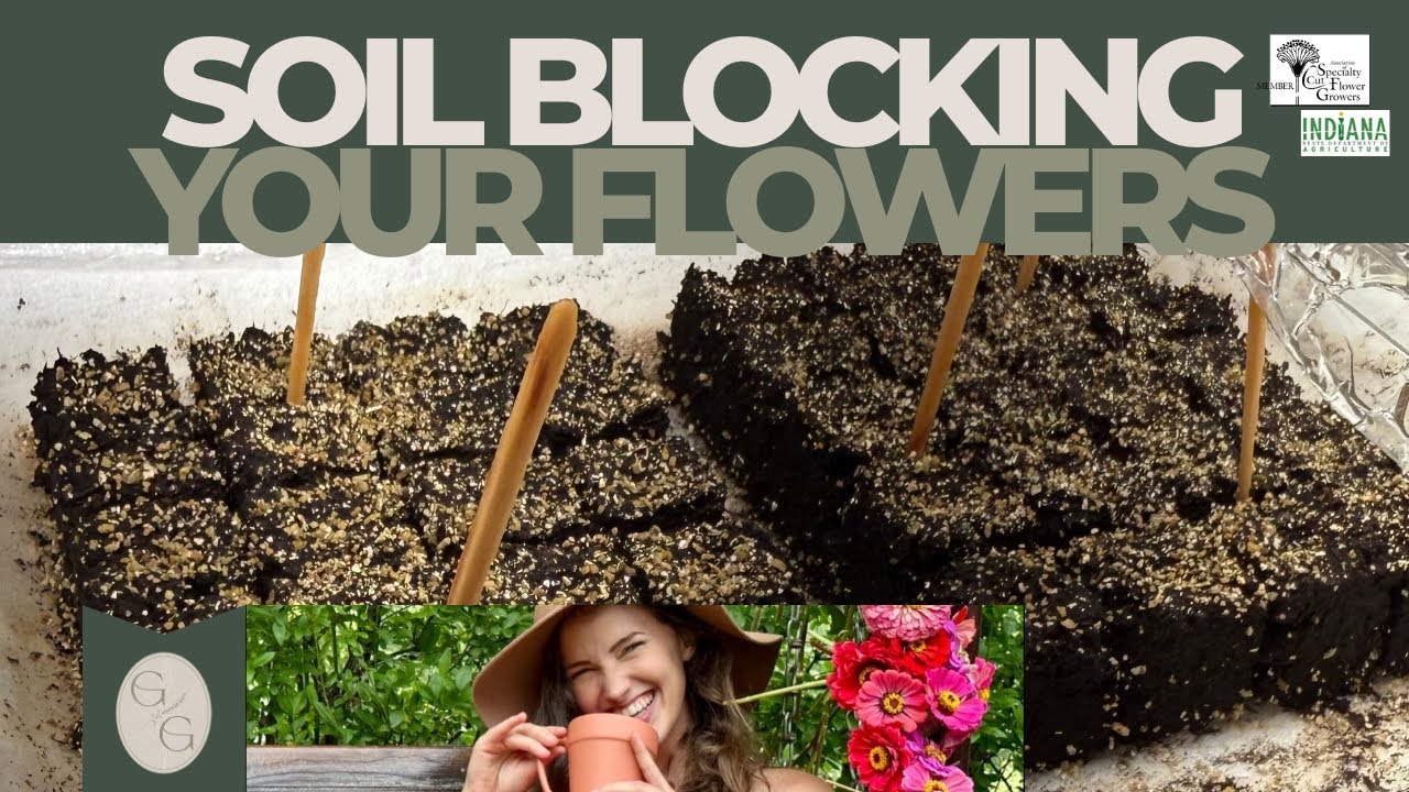 Learn How to Soil Block | Growing Flowers From Seed