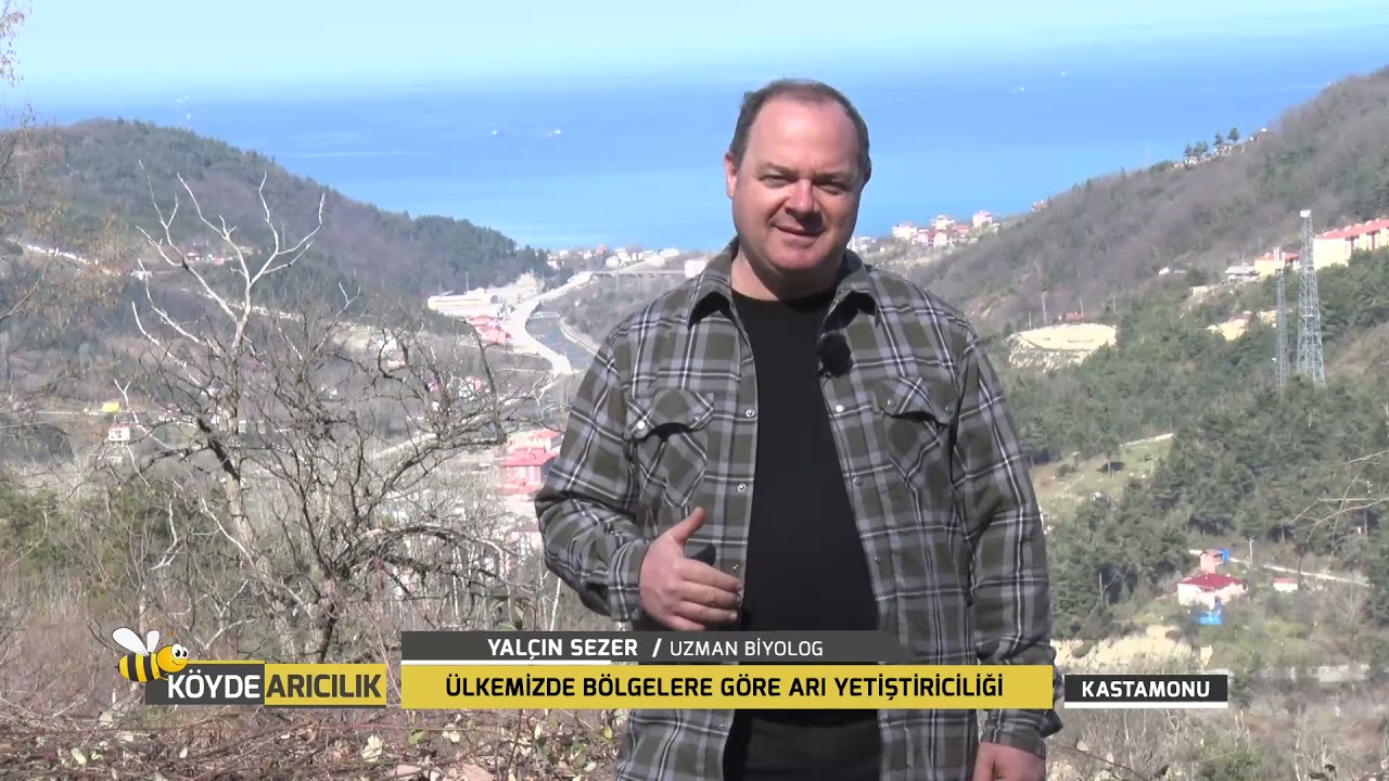 KÖYDE ARICILIK | ÜLKEMİZDE BÖLGELERE GÖRE ARI YETİŞTİRİCİLİĞİ