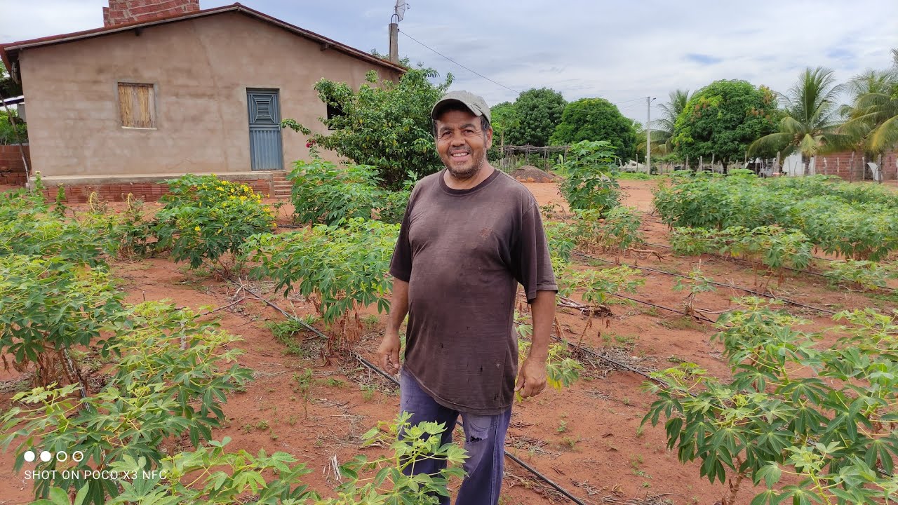 CONHECENDO AS TERRAS PRODUTIVAS DO SERTÃO NORDESTINO NA REGIÃO DE MIRANDIBA PERNAMBUCO.