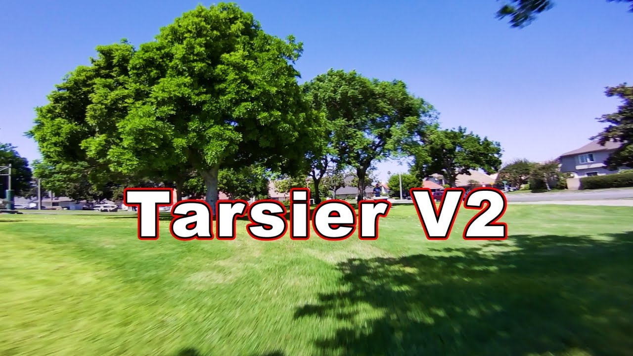 Caddx Tarsier V2 4K Split Camera Review 📷