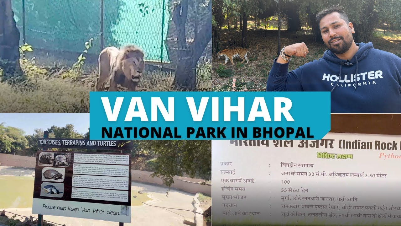 VAN VIHAR NATIONAL PARK BHOPAL 2023 |COMPLETE WALKOVER AND DETAILS|BEST PLACE FOR OUTING IN BHOPAL|