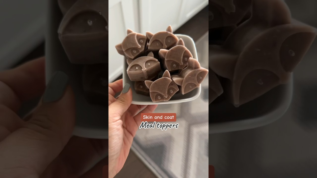 Skin and coat frozen meal topper treats for your dog