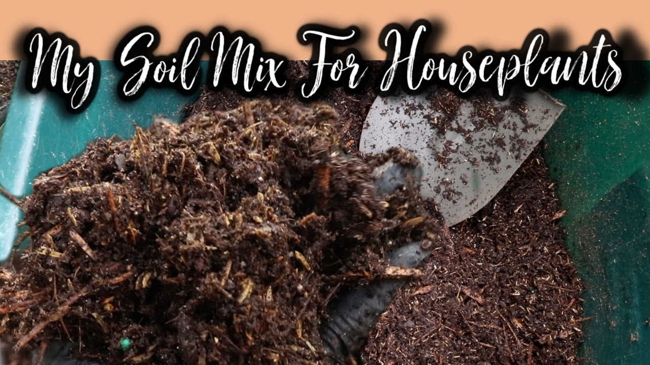 DIY TROPICAL PLANT POTTING MIX - Container Plants & Tropical Foliage Plants, What's in My Mix