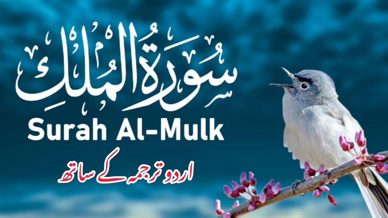 Surah Mulk with Translation | Episode 040 | Night Recitation 🌌