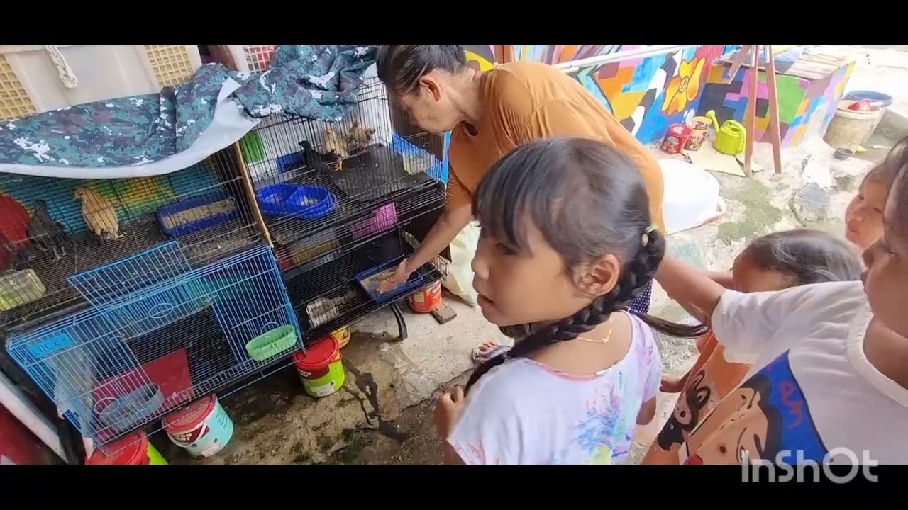 BELI AYAM WARNA WARNI DI PASAR !!! #trending #viralvideos #ayam#bebek #burung  #ayamwarnawarni