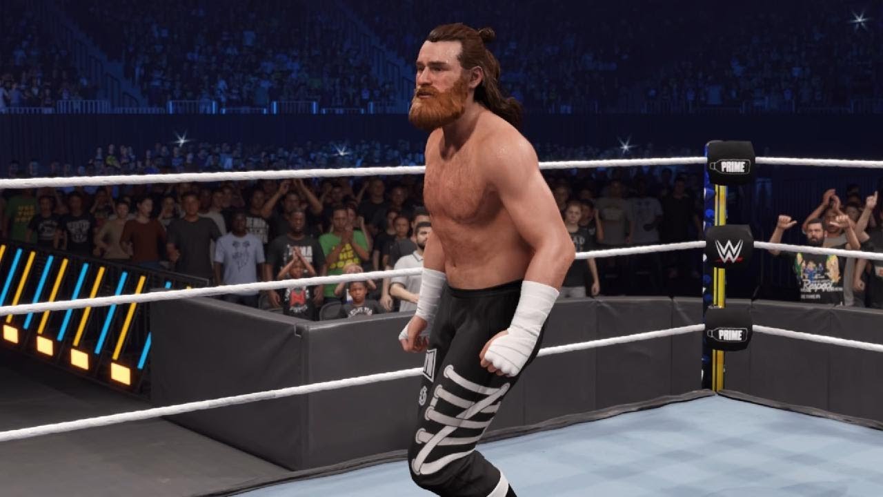 Sami Zayn vs CM Punk