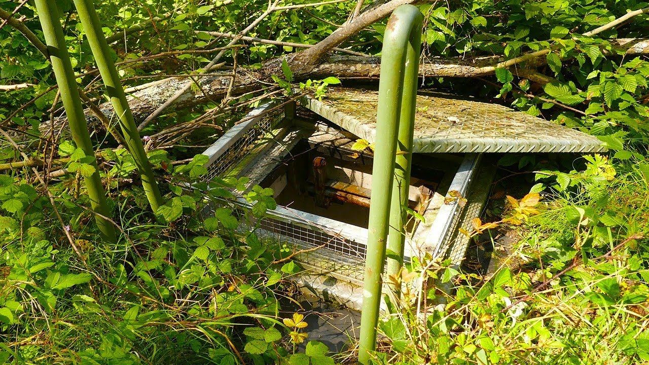 Geheime Öffnung im Waldboden
