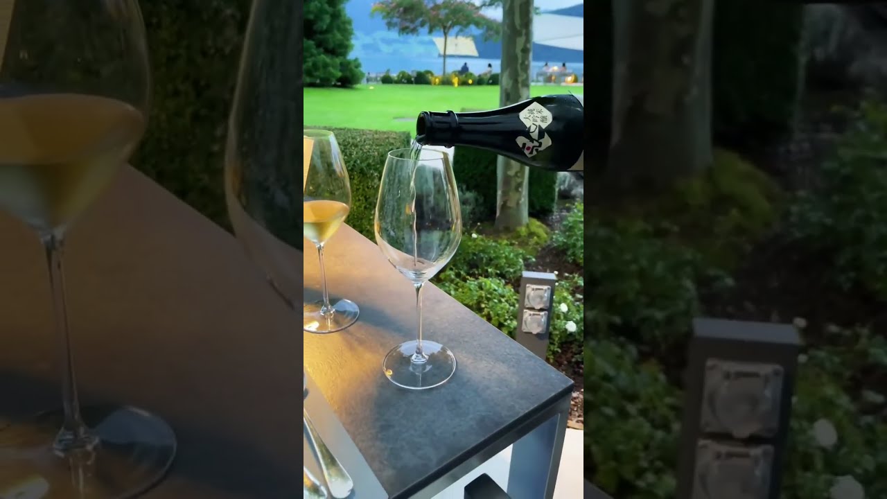 MICHELIN STAR MEAL IN SWITZERLAND #shorts #shorts30 #switzerland #luxurytravel #parkhotelvitznau