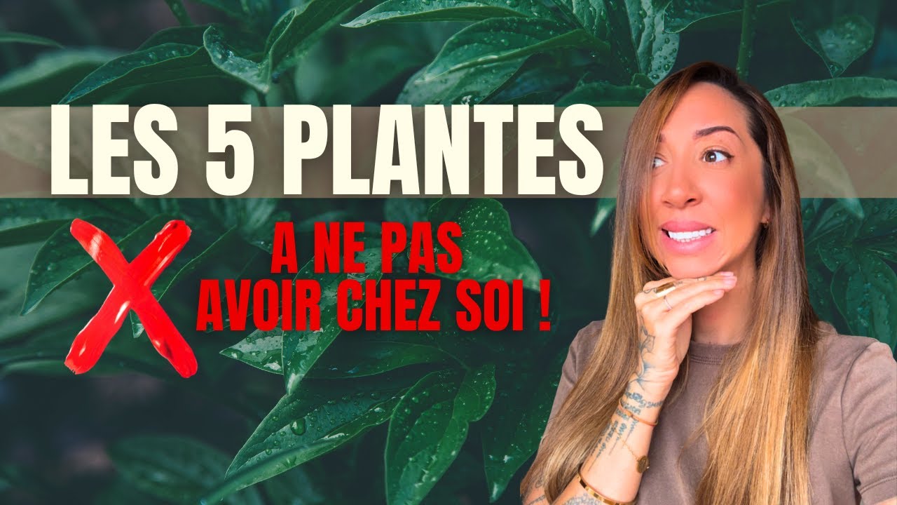 Les 5 plantes à ne surtout pas avoir chez soi! (elles bloquent l’énergie)