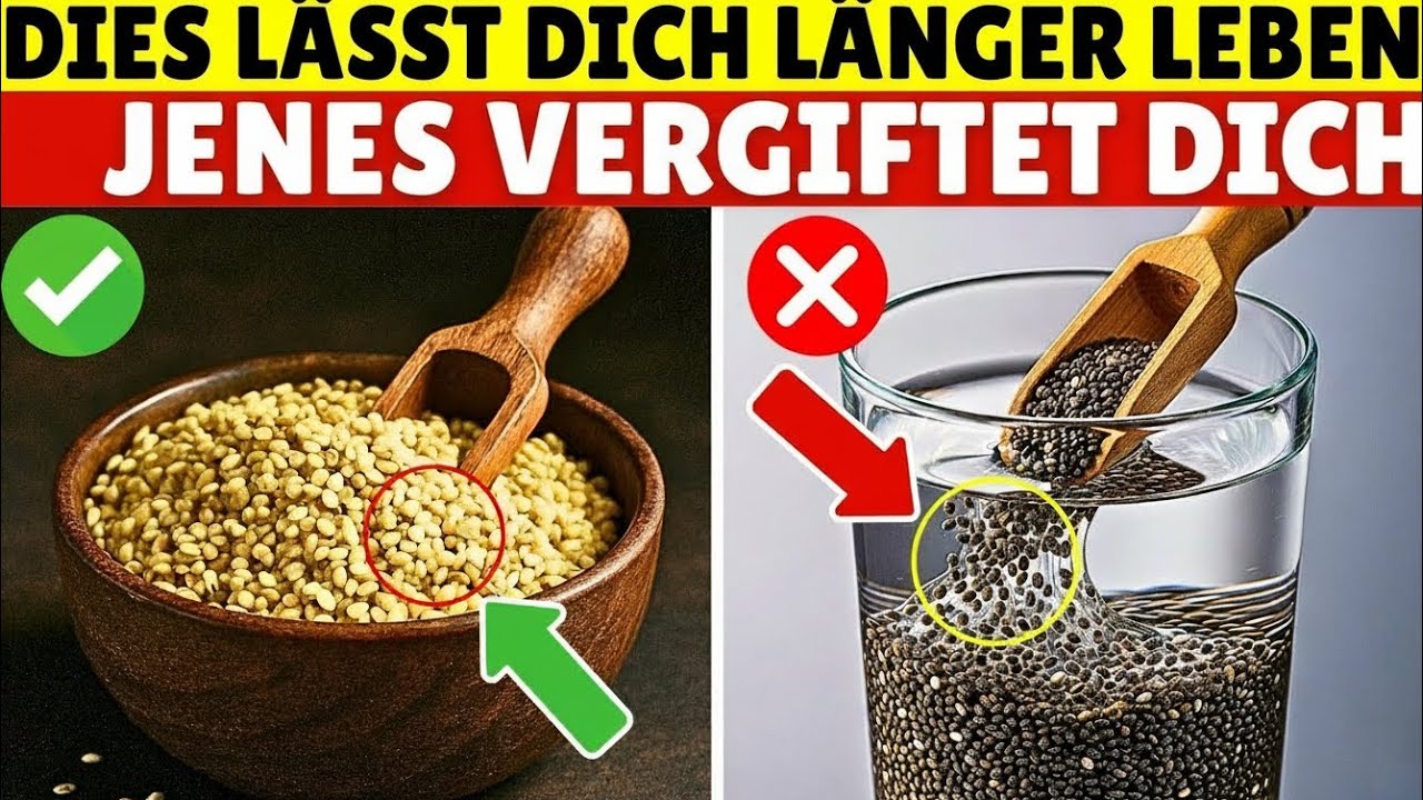 8 Samen im Alter über 60: 4 sollten Sie sofort vermeiden – 4 können Ihre Gesundheit verändern