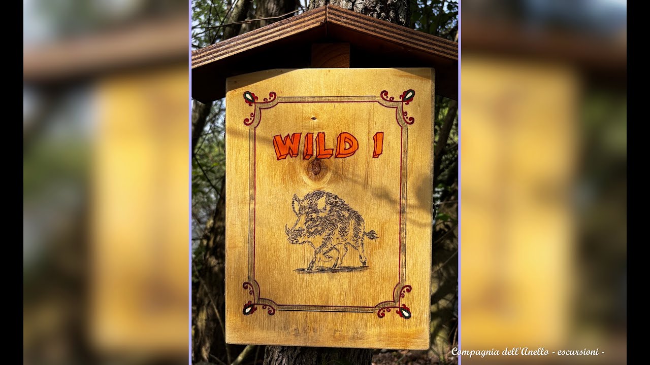 Anello del sentiero Wild, da Santa Croce di CervascaVignolo