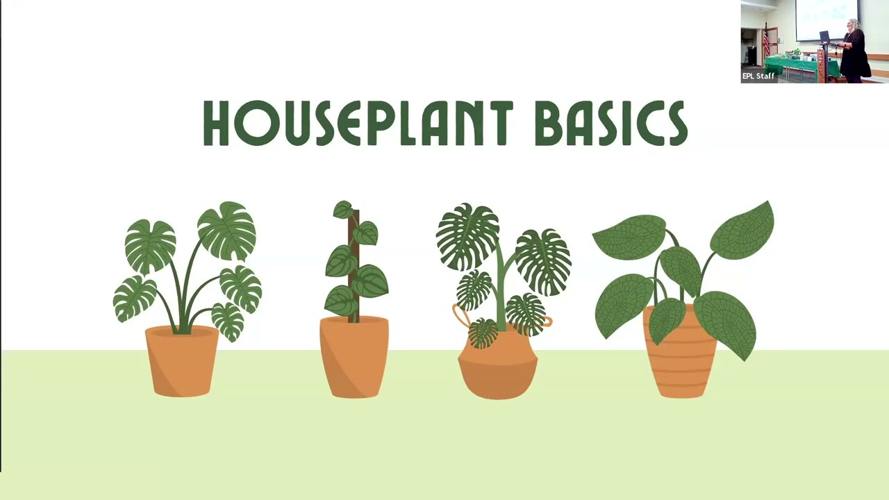 Recording of Houseplant Basics