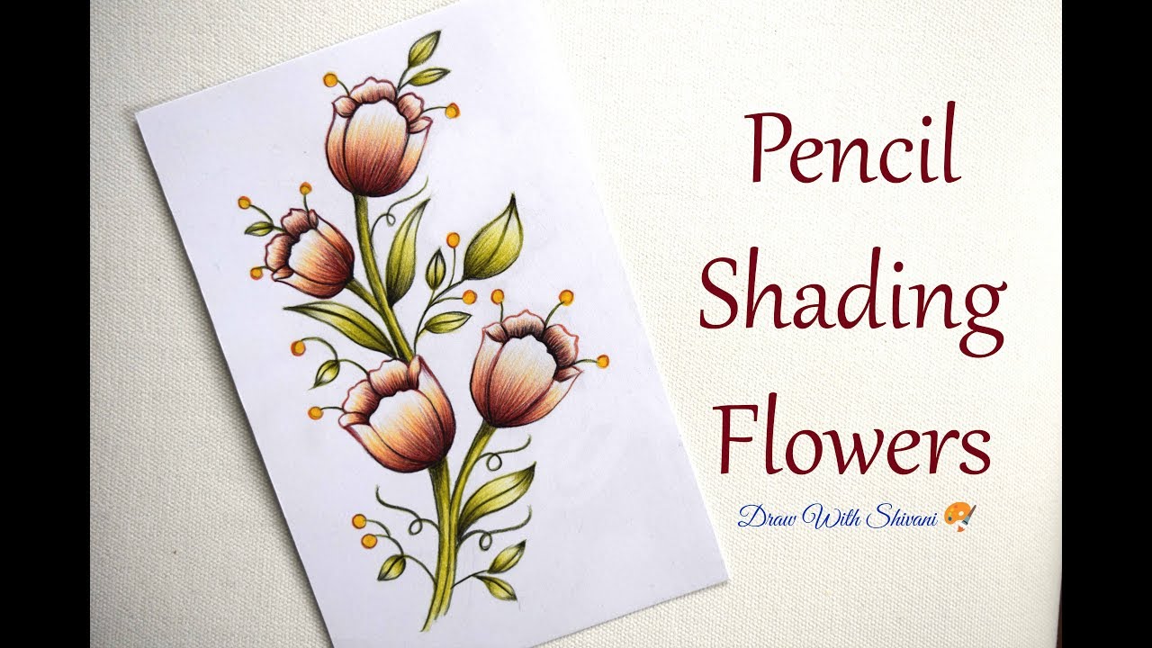 Pencil Color Flowers/ Color Pencil Shading