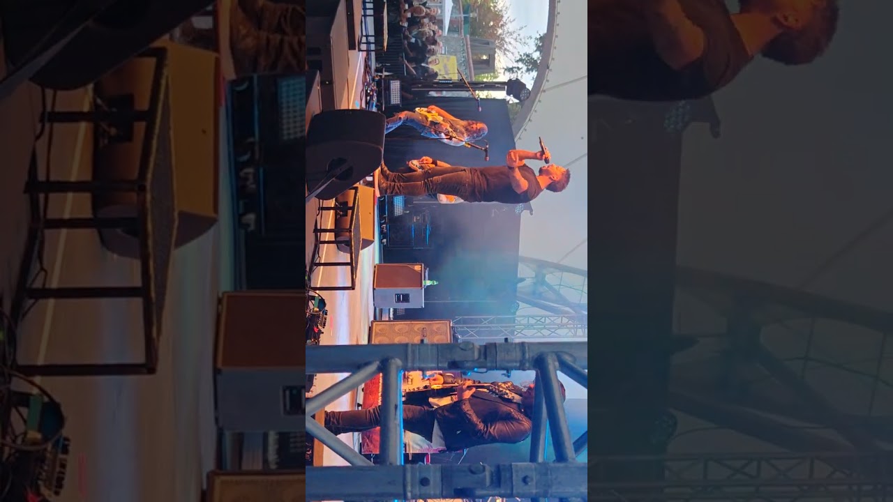 those damn crows - find a way live (29.08.2025 in Hanau (