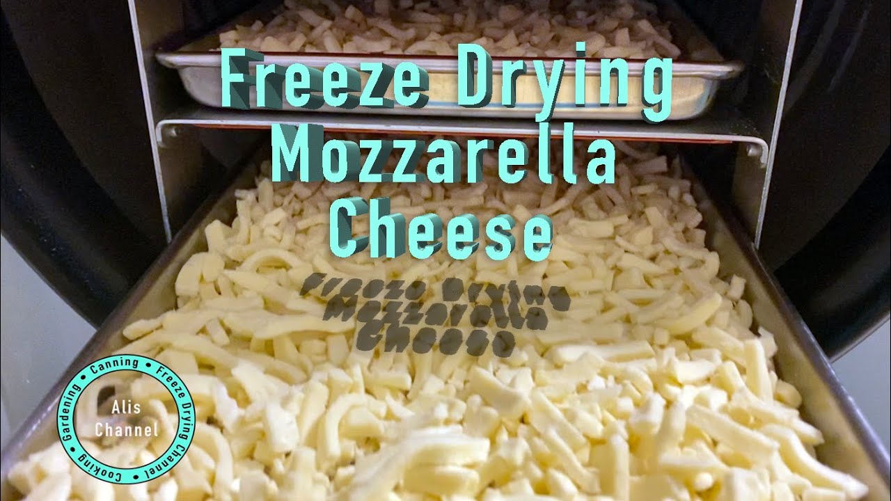 Freeze Drying Mozzarella Cheese and rehydration