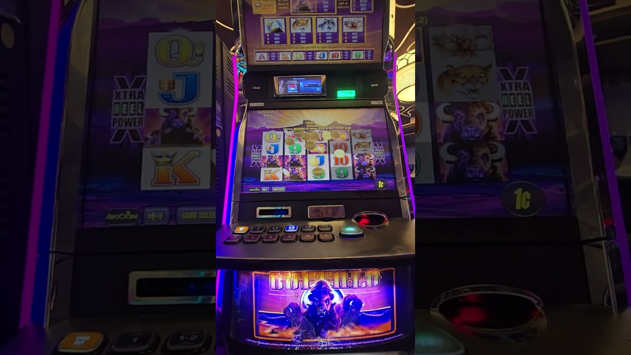 Classic buffalo  slot machine