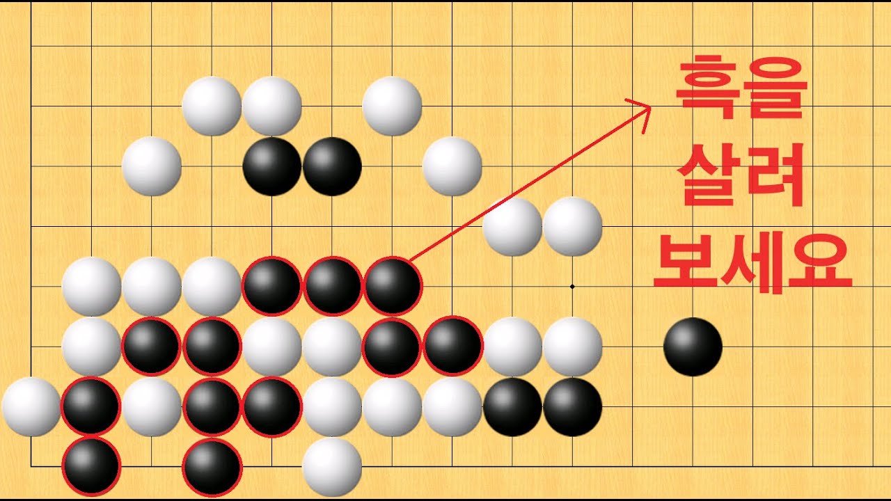 바둑 묘수 사활 - 기상천외 묘수가 나옵니다. 흑을 살려보세요