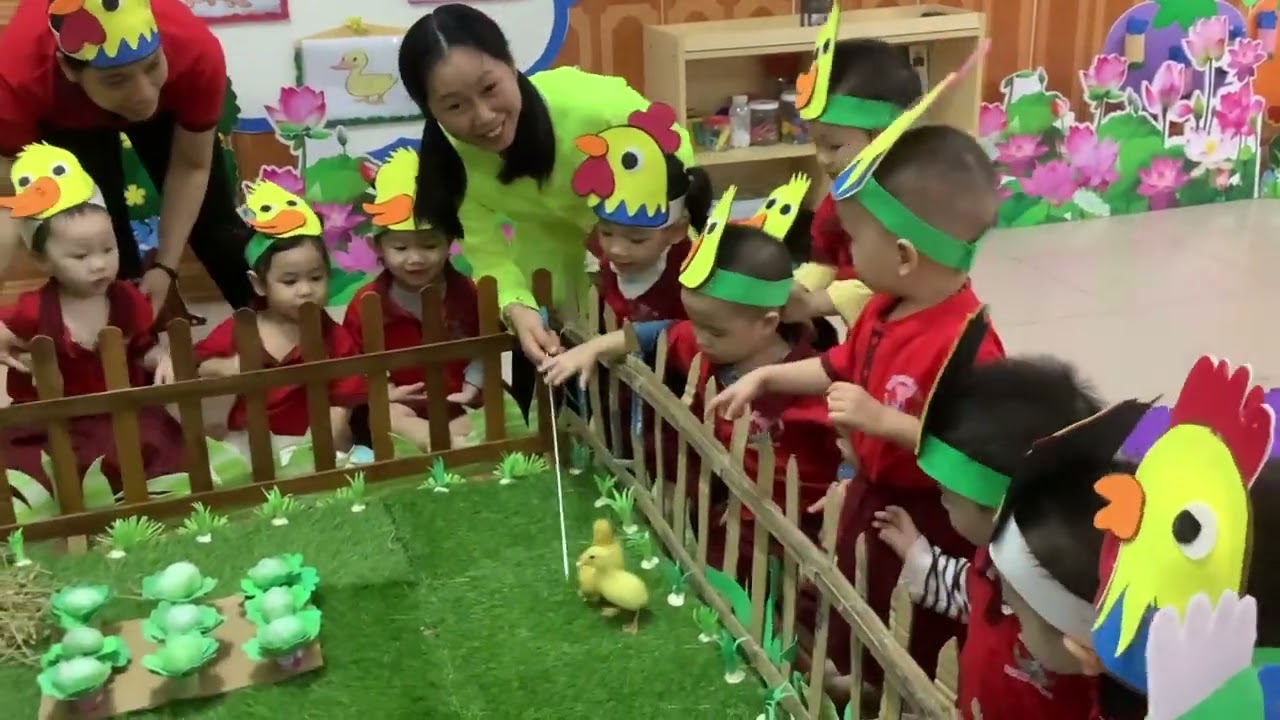 Nhận biết tập nói con gà, con vịt - Lớp Mầm 4 siêu đáng yêu