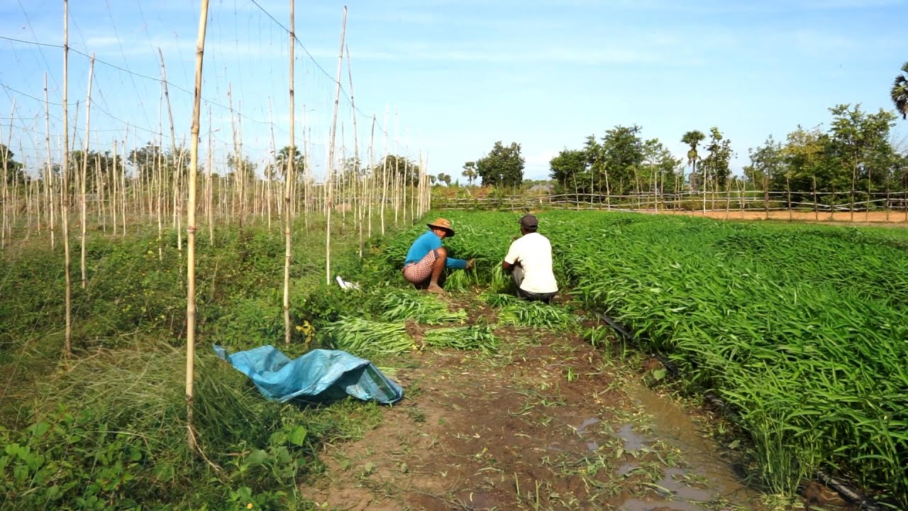Intersections: Justice Ministry with ELCA Partners | ELCA World Hunger