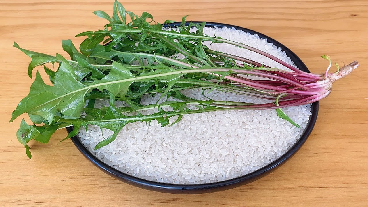 大米加蒲公英，没想到作用这么厉害，我今天才知道，既省钱又实用。【丽丽厨房 Queen Kitchen】