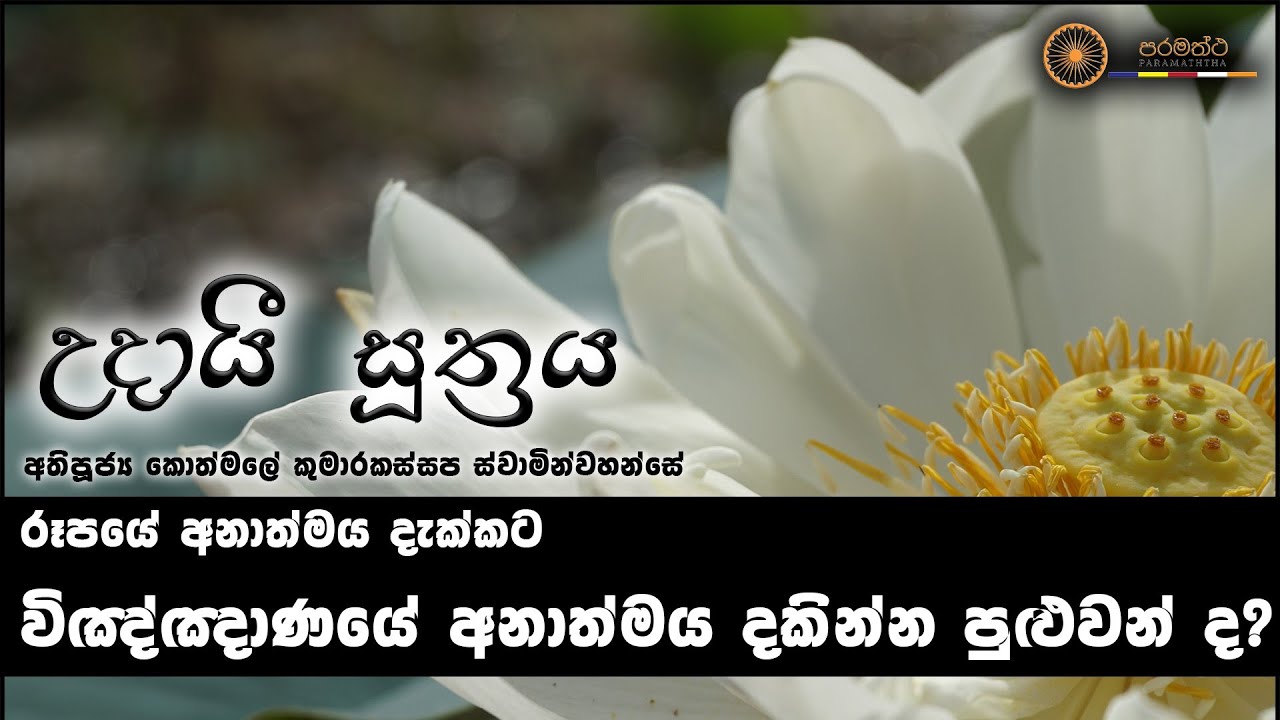 රූපයේ අනාත්මය දැක්කට විඤ්ඤාණයේ අනාත්මය දකින්න පුළුවන් ද?-අතිපූජ්‍ය කොත්මලේ කුමාරකස්සප ස්වාමින්වහන්සේ