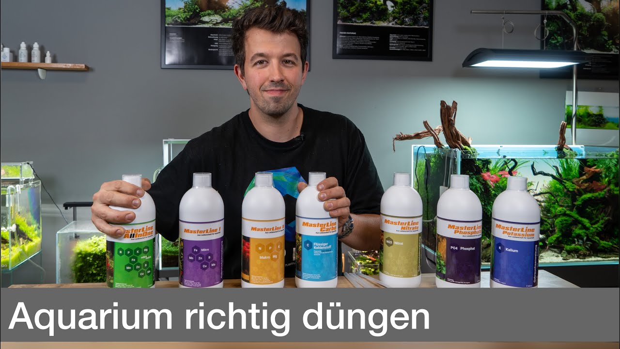 Wie dünge ich mein Aquarium richtig? | So düngen wir unsere Aquarien! | Liquid Nature
