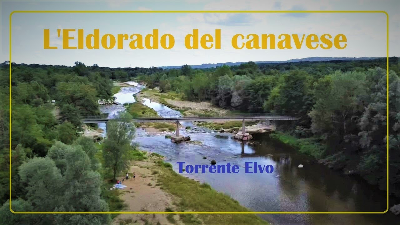 ELVO un fiume d'ORO (Bi)