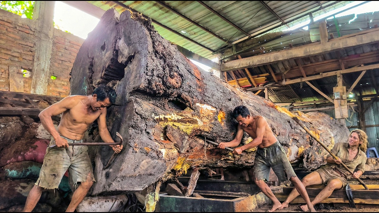 How Heavy Machinery Cuts Through Solid Hardwood