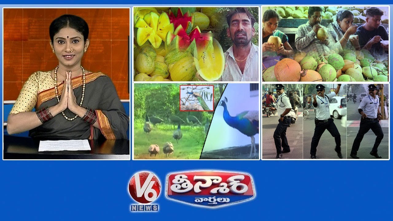 Yellow Watermelon | Coconut Ice Cream   | Peacocks Village | Traffic Cop Dance | V6 Weekend Teenmaar