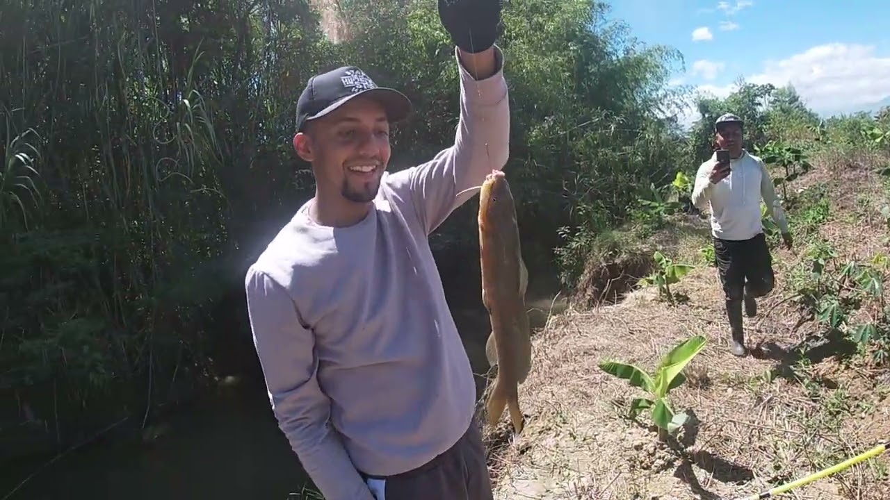 #pesca