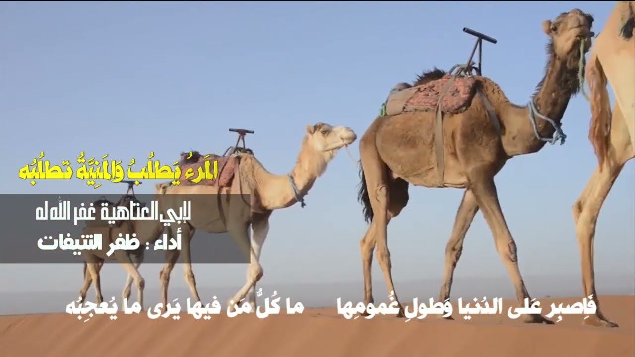 المَرءُ يَطلُبُ وَالمَنِيَّةُ تَطلُبُه   | لأبي العتاهية غفر الله له | أداء : ظفــر النتيفات .