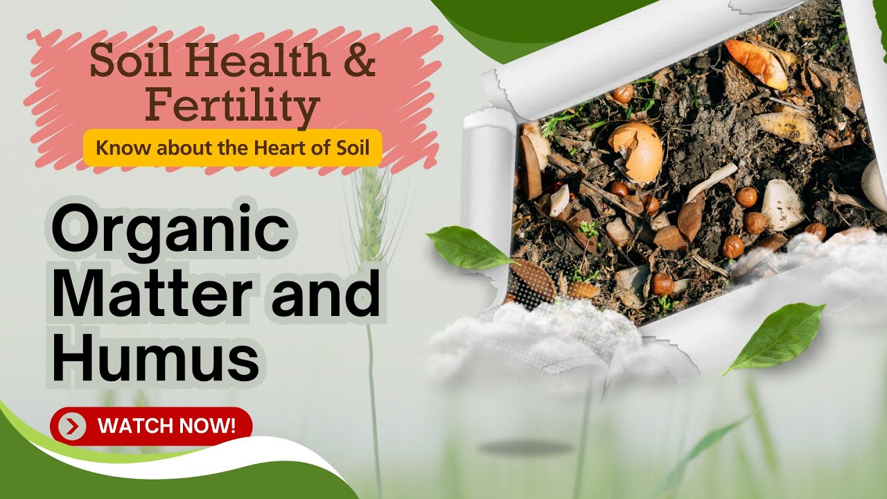 Organic Matter & Humus: Boost Soil Fertility | Spring Scientific's Guide to Sustainable Soil Health