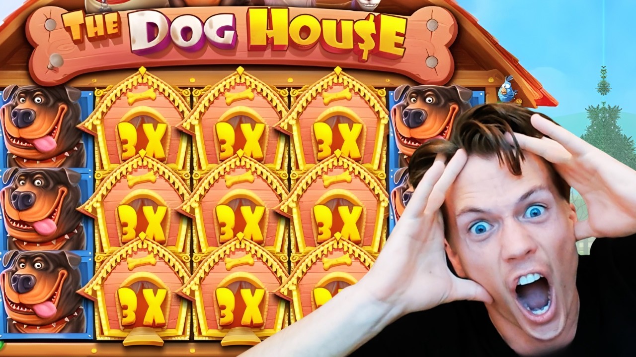 SO MANY MAX WINS... | STREAM HIGHLIGHTS