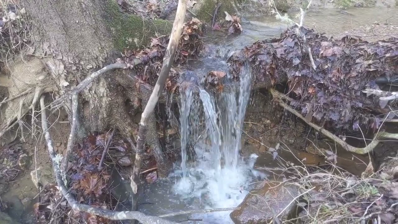 Headcutting Induced Creek Incision & Dehydration Of Floodplain