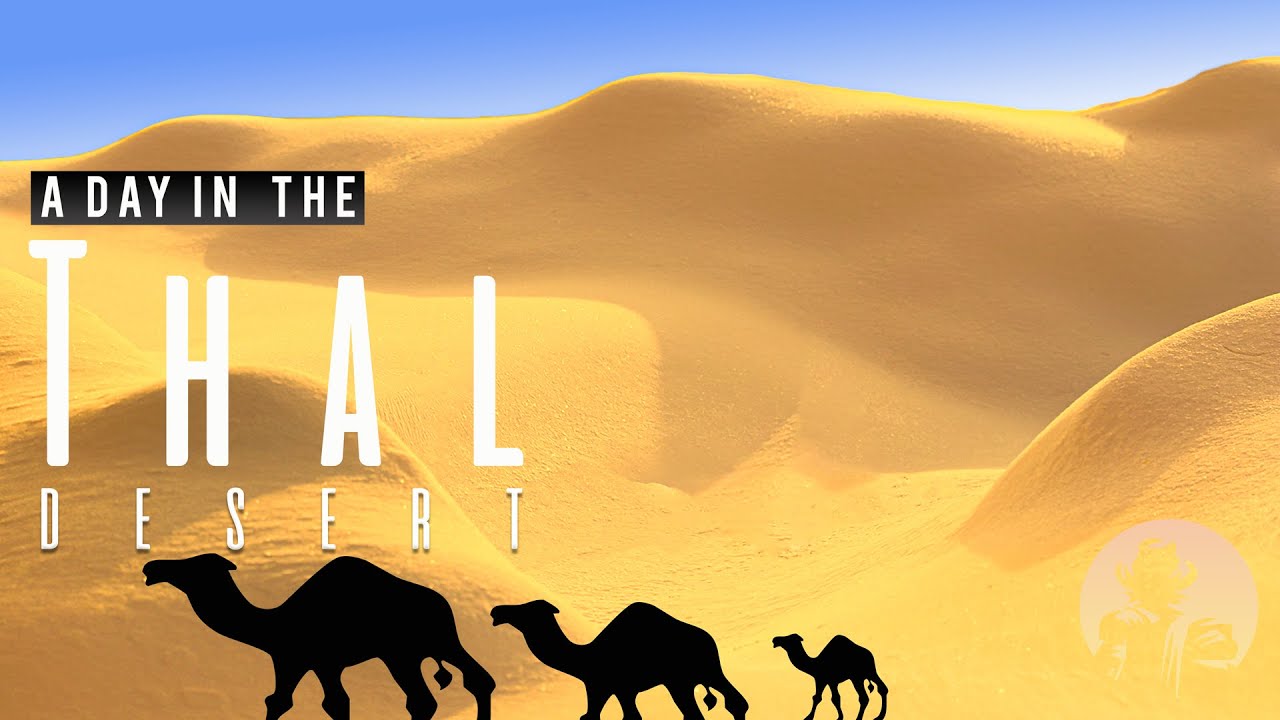 #EuroasianNomad #DesertSafari #Pakistan  Travel through the Thal desert | Rangpur | Muzaffargargh
