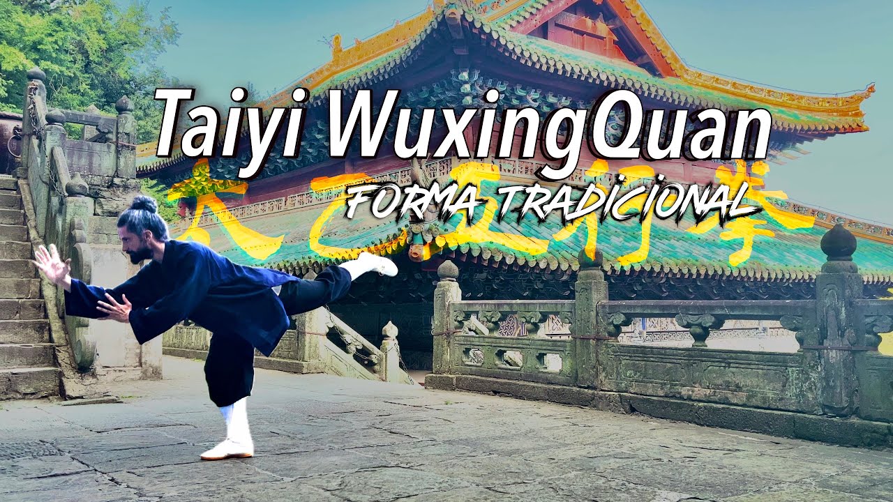Wudang Kungfu | Forma TAIYI WUXING Quan tradicional /武当太乙五行拳 擒扑二十三势