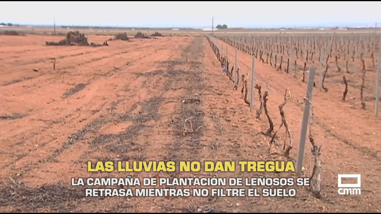 El Campo | La campaña de plantación de leñosos se retrasa mientras no filtre el suelo | 03/02/26